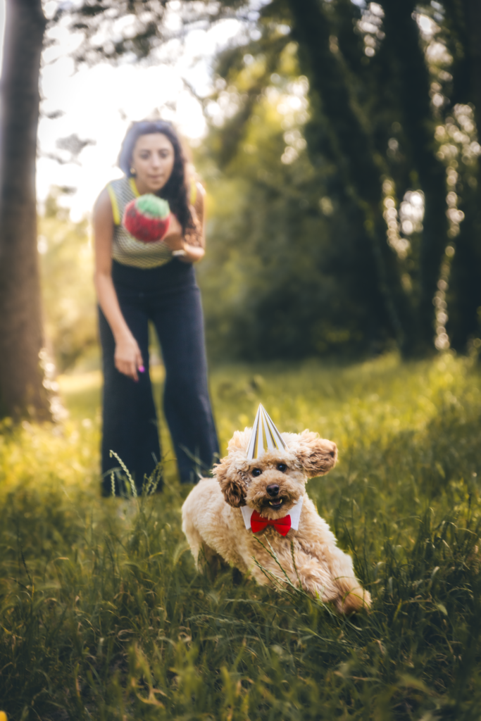 activités pour chiens