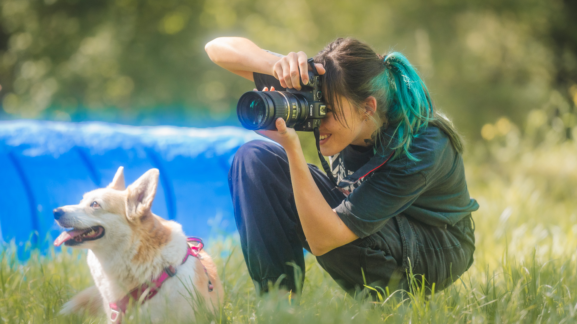 activités pour chiens avec Stéphanie Isidé de La Patte Complice pendant un shooting photo avec un corgi